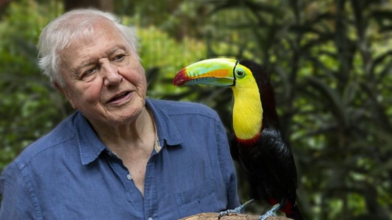 Attenborough Brings Colour to Amazing Life in New Series