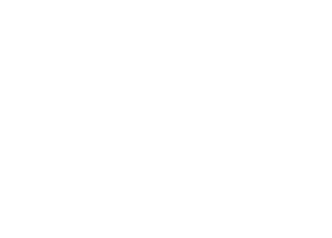 Wallabies Spring Tour